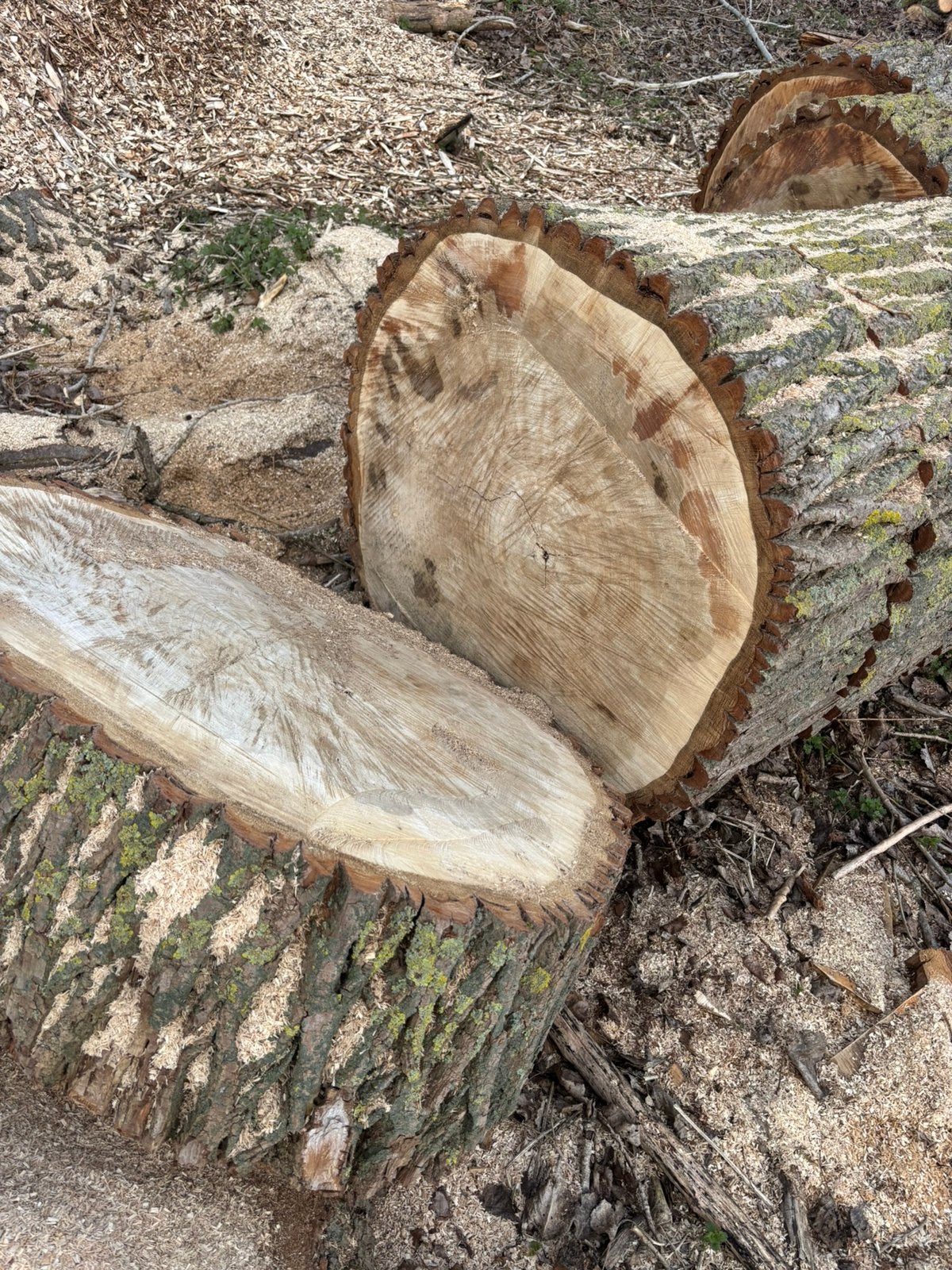 Brandhout te koop, 6 m³ ou plus, Envoi, Autres essences de bois, Bûches