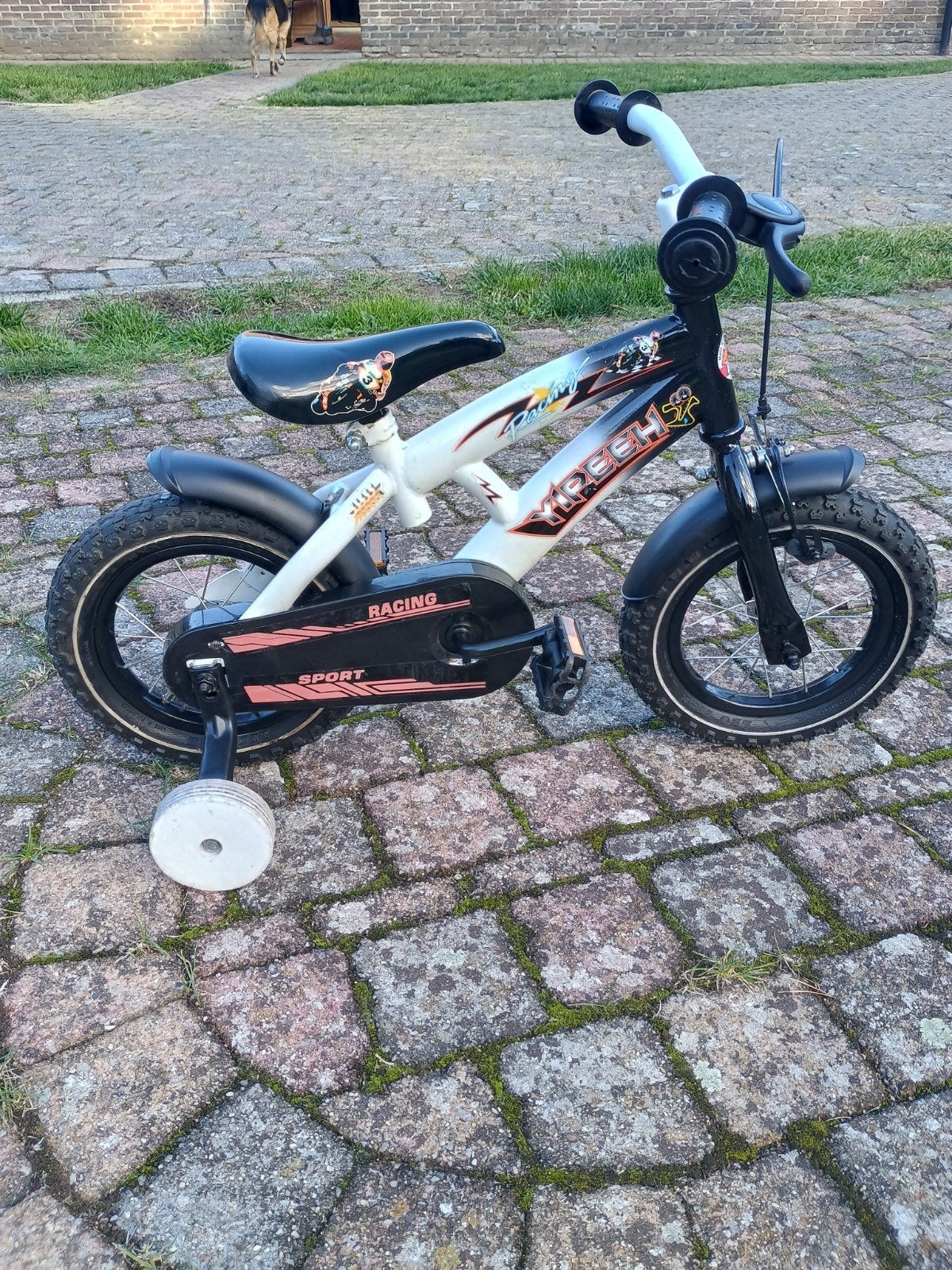 12 inch fietsje, Ophalen, Terugtraprem, Zijwieltjes, Gebruikt