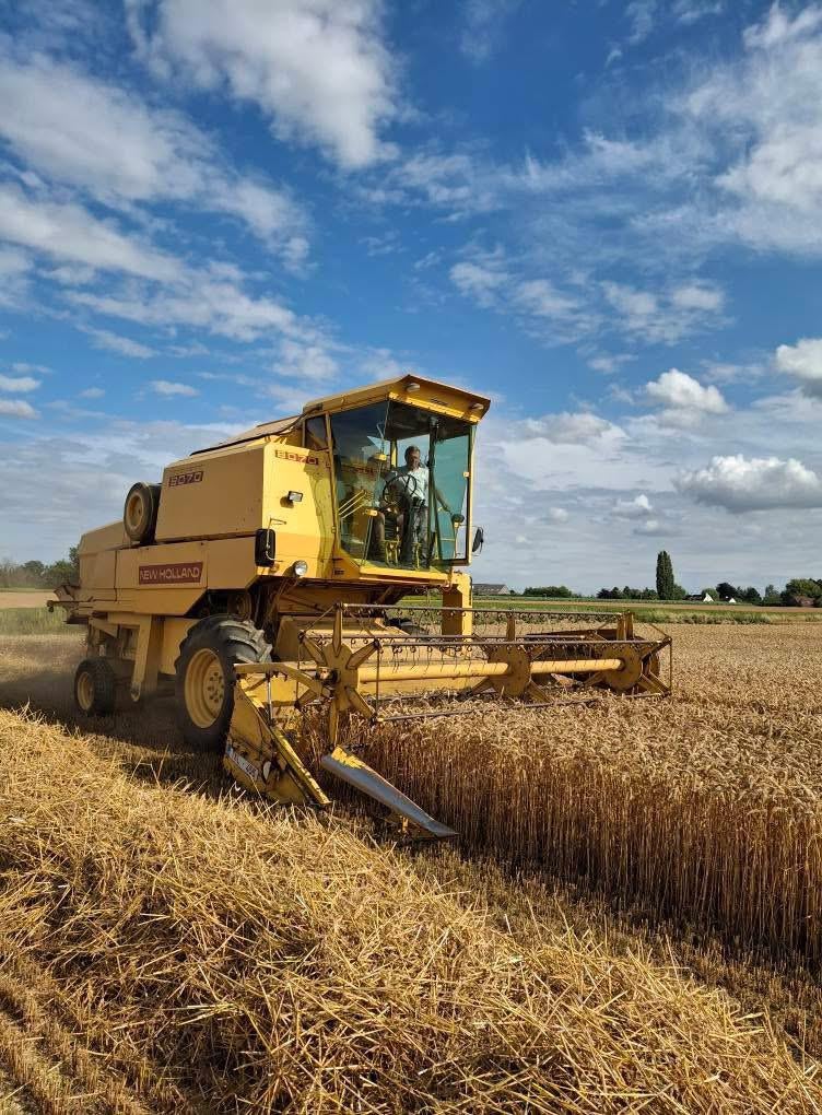Gezocht new holland 8060 8070 8080 maaidorser pikdorser, Ophalen, Serretuinbouw, Oogstmachine