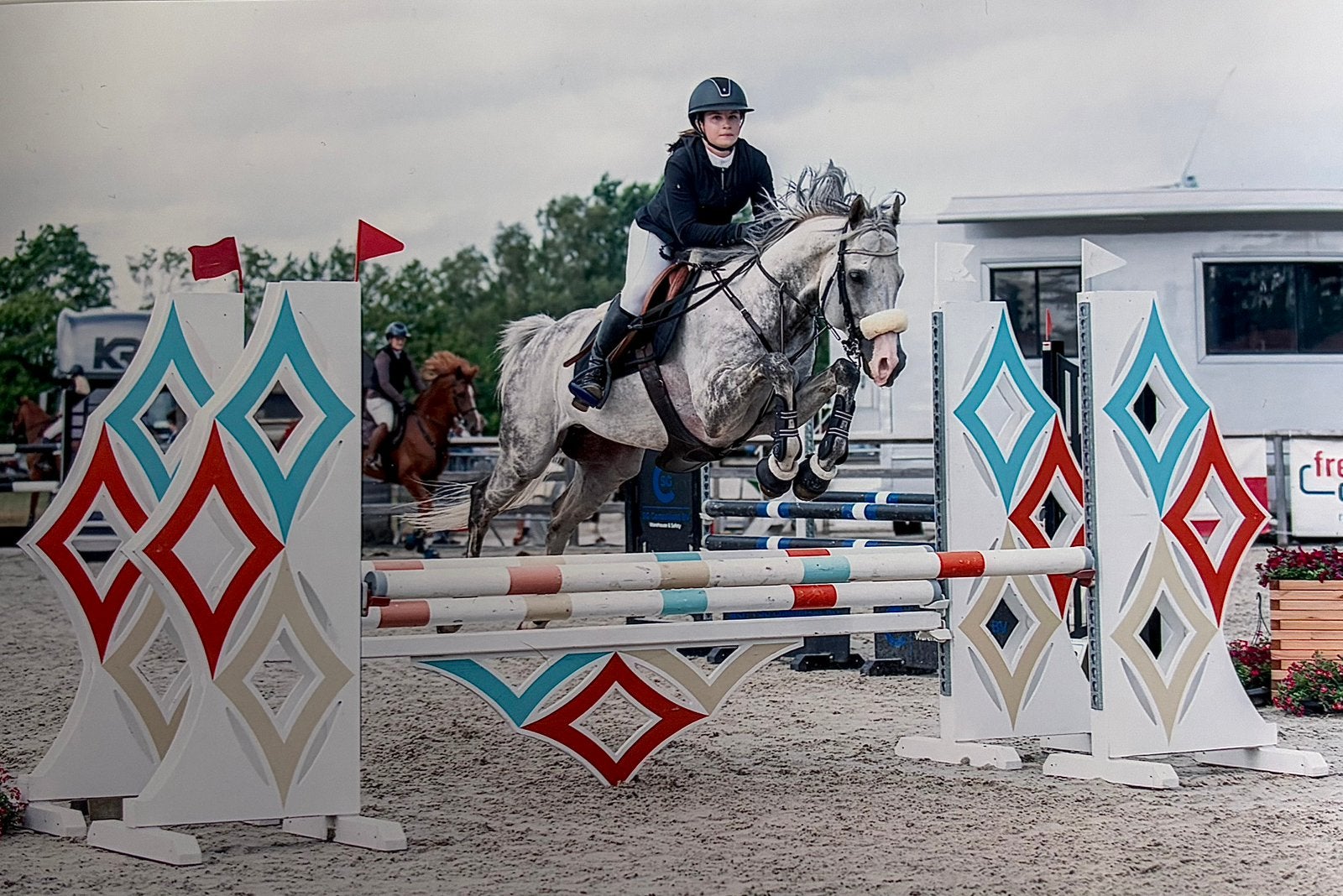 Bel étalon de 11 ans, Animaux & Accessoires, Chevaux, Étalon, 165 à 170 cm, Cheval de saut, 11 ans ou plus