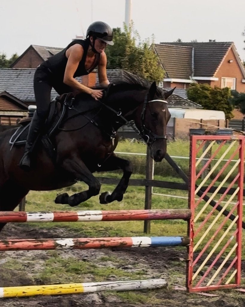 7 jarige merrie, Dieren en Toebehoren, Paarden, Merrie, 7 tot 10 jaar, Met stamboom, 160 tot 165 cm