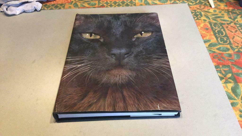 Artis historia de wondere wereld der katten (zk6), Boeken, Ophalen of Verzenden, Zo goed als nieuw, Artis Historia, Plaatjesalbum