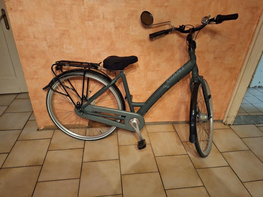 fiets, Ophalen, Zo goed als nieuw, Giant