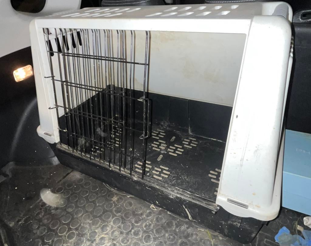 Cage transport pour chien ou chat, Animaux & Accessoires, Enlèvement ou Envoi, Comme neuf