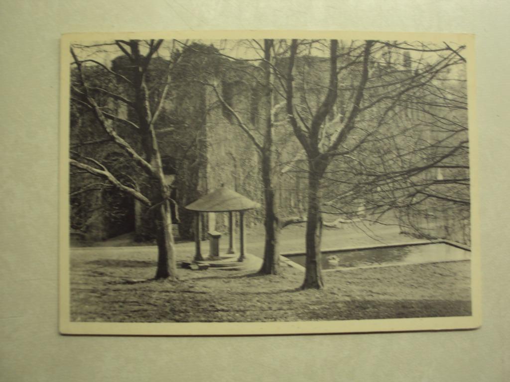 54398 - MARIEMONT - LES RUINES DE L'ANCIEN CHATEAU, Collections, Envoi