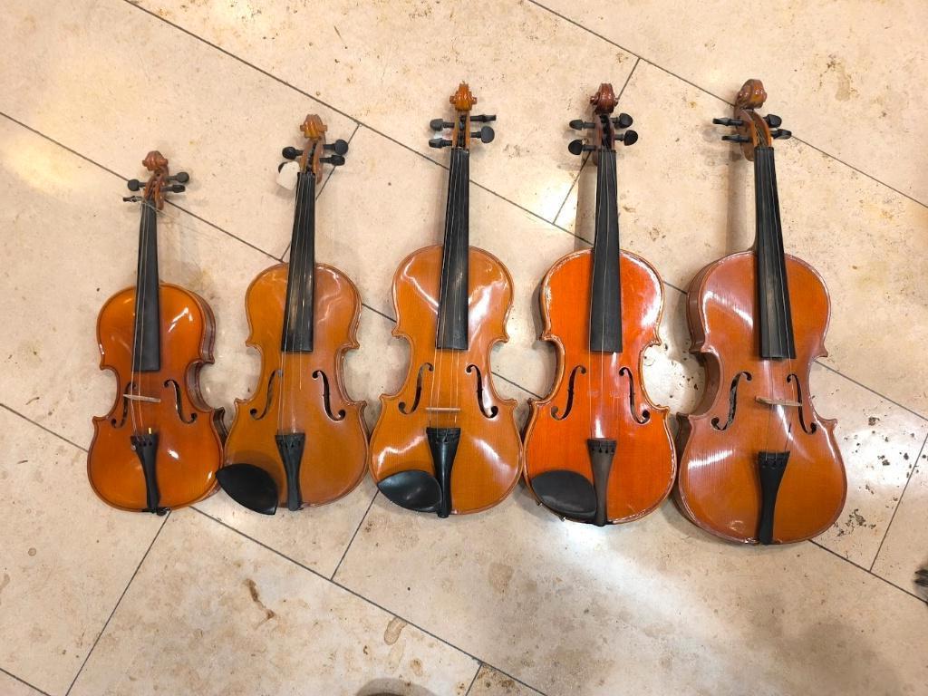 Studieviolen/decoratie — verschillende maten (1/8=> 4/4), Muziek en Instrumenten, Ophalen of Verzenden, Gebruikt, Overige typen