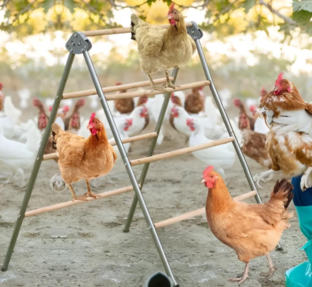 Zitstok Dubbel compleet voor kippen pluimvee, Dieren en Toebehoren, Ophalen of Verzenden