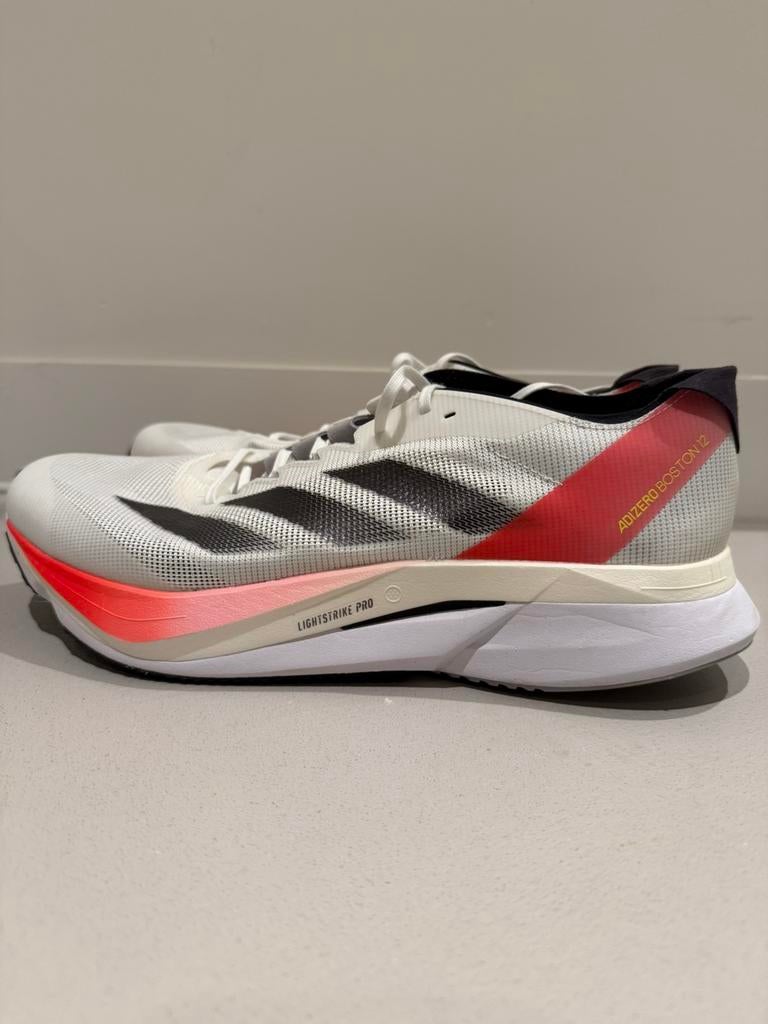 Nieuw - Adidas Adizero Boston 12 - maat 47 1/3, Sports & Fitness, Course, Jogging & Athlétisme, Envoi, Neuf, Chaussures de course à pied
