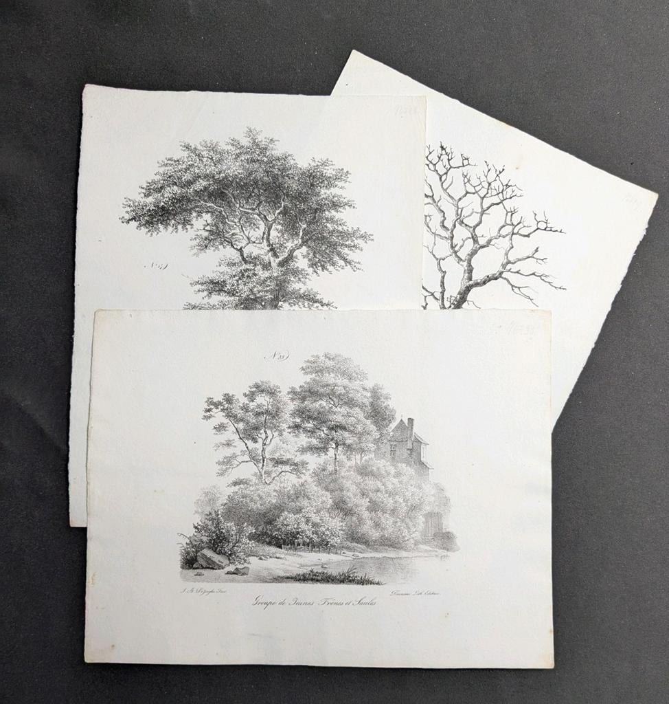 Jean-baptiste de Jonghe - drie antieke litho's - bomen, Ophalen of Verzenden