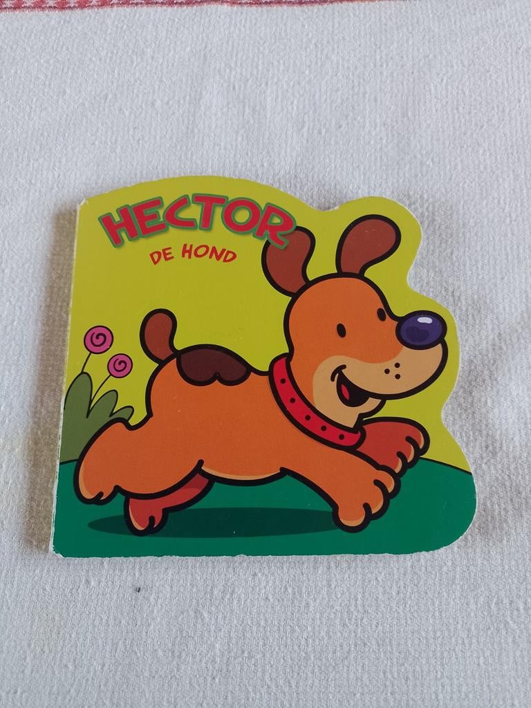 Hector de hond, Enlèvement ou Envoi, Utilisé