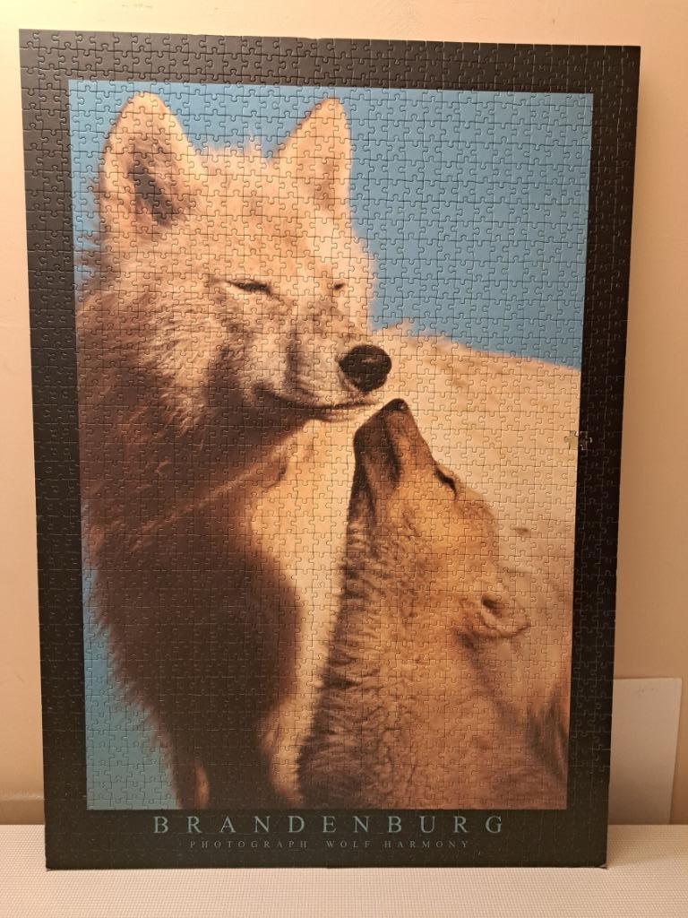 Puzzel wolven, Hobby en Vrije tijd, Ophalen, Gebruikt, Legpuzzel