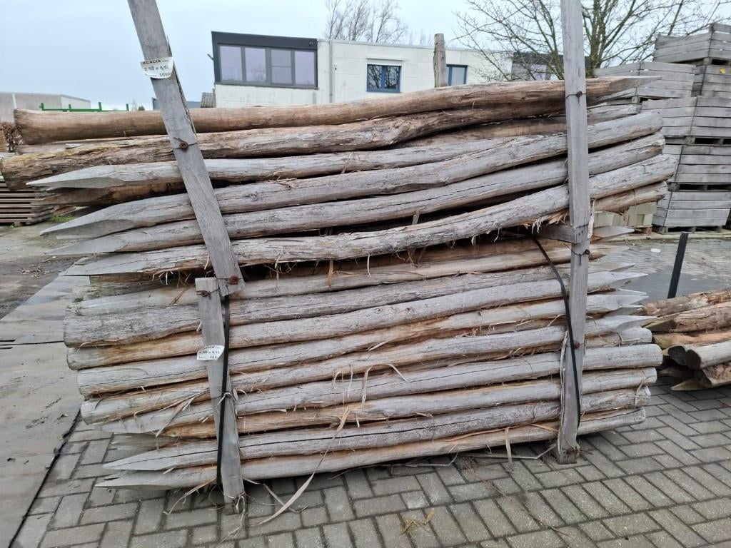 Acacia / kastanje  gepunte palen, Poteaux, Bois dur, Comme neuf, Enlèvement