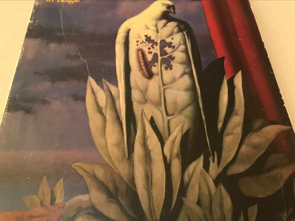 Surrealisme in België 330pag Magritte Delvaux Bury, Boeken, Ophalen of Verzenden, Zo goed als nieuw, Schilder- en Tekenkunst