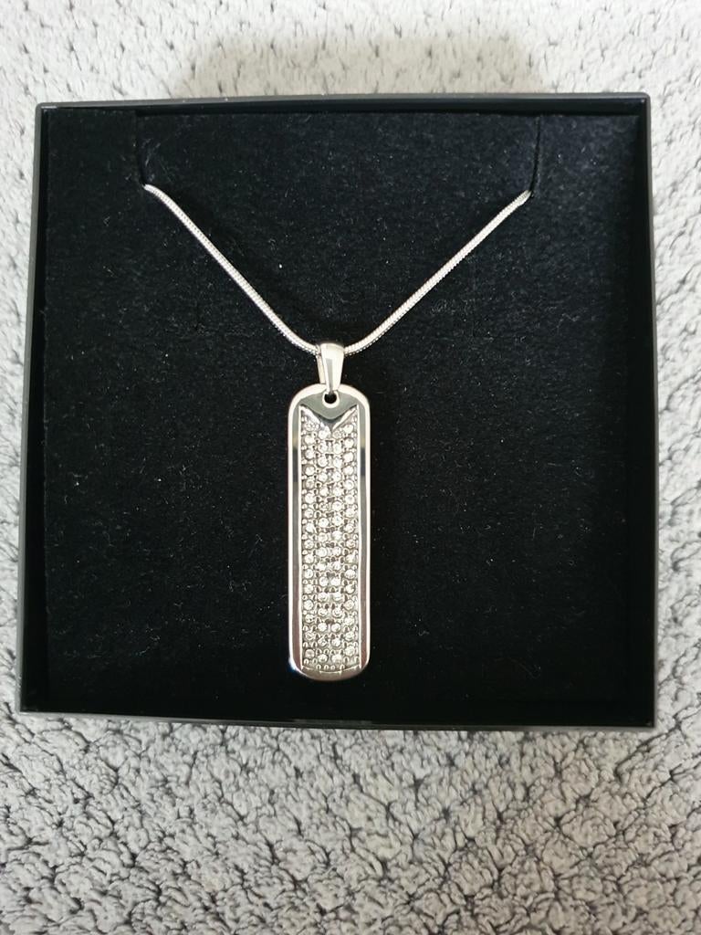 Nieuwe halsketting met hanger in edelstaal, Ophalen of Verzenden, Nieuw, Zilver, Met kristal
