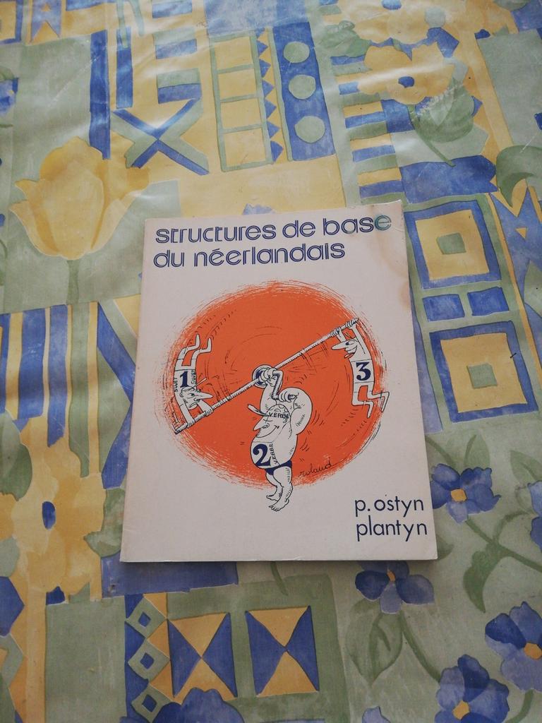 Structures de base du néerlandais. P. Ostyn., Ophalen of Verzenden, Zo goed als nieuw, Nederlands