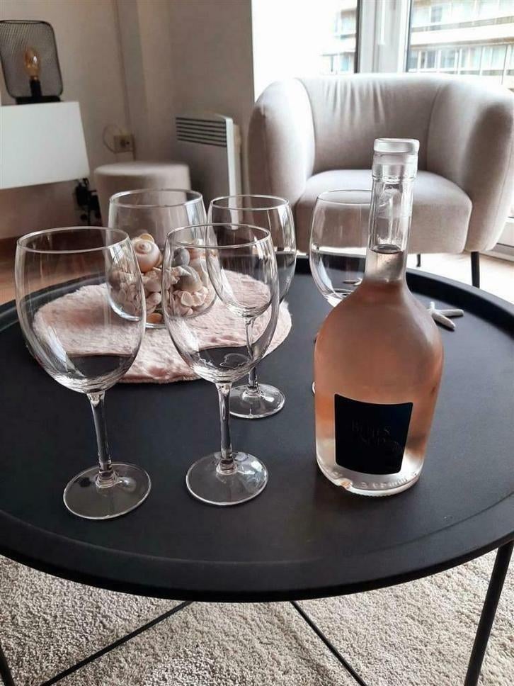 Te huur : Gerenoveerd modern appartement te Nieuwpoort-Bad, Immo, 35 à 50 m², Province de Flandre-Occidentale