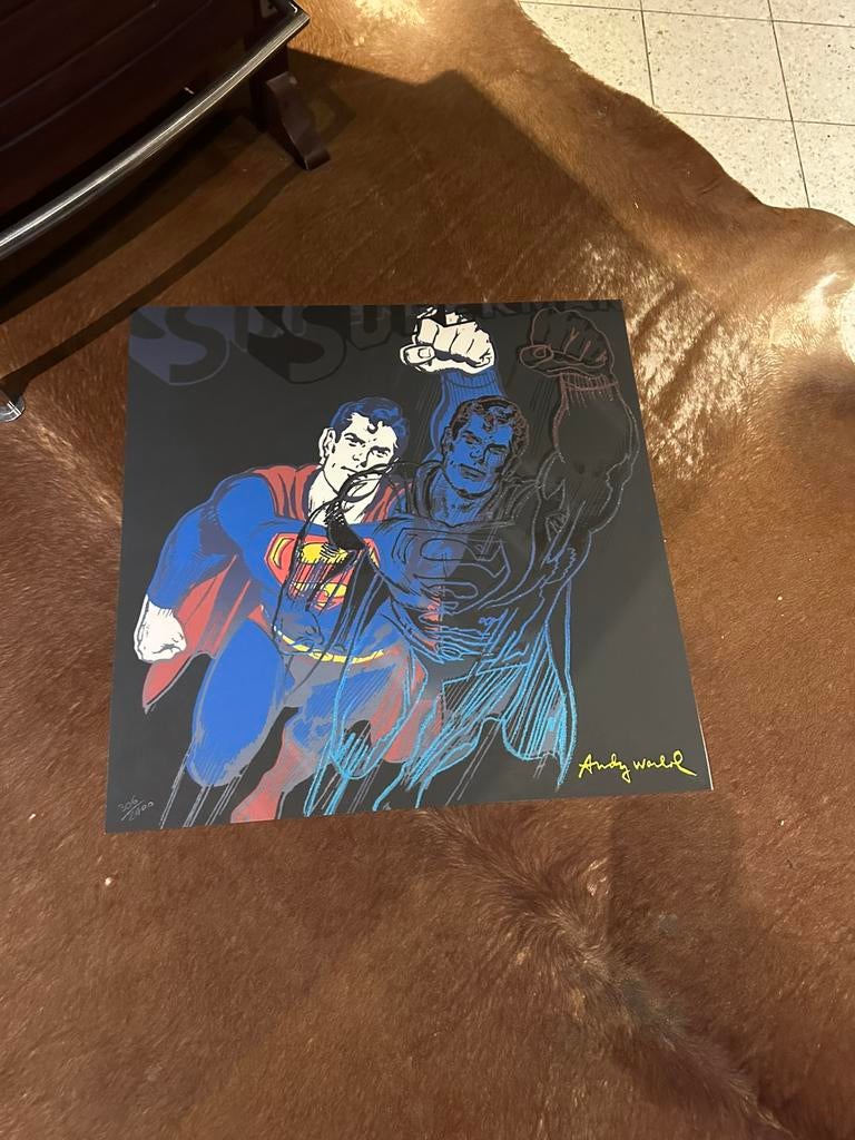 Andy warhol litho, Antiek en Kunst, Ophalen of Verzenden