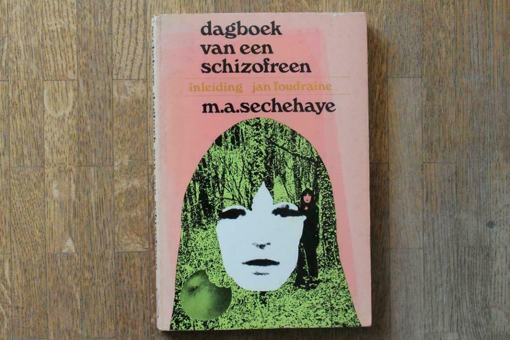 Dagboek van een schizofreen, Boeken, Psychologie, Gelezen, Persoonlijkheidsleer, Ophalen of Verzenden, Sechehaye