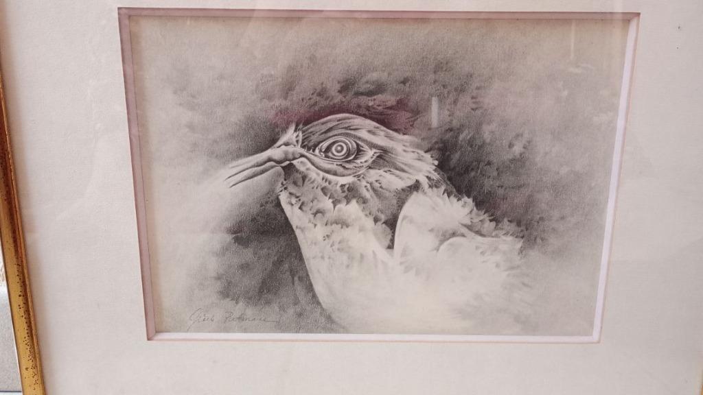 Dessin de Gisèle Putmans - L'oiseau dans la spiritualité, Enlèvement ou Envoi