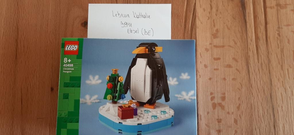Lego 40498 Christmas Penguin, Enfants & Bébés, Jouets | Duplo & Lego, Neuf, Lego, Ensemble complet, Enlèvement ou Envoi