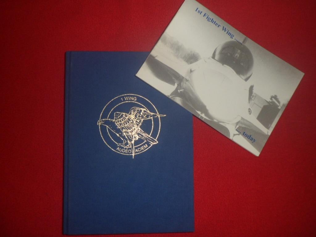 Audeo Aciem . Kroniek van de 1ste Jachtwing 1946-1996, J. Buzin & J. Govaerts, Ophalen of Verzenden, Zo goed als nieuw, 1945 tot heden