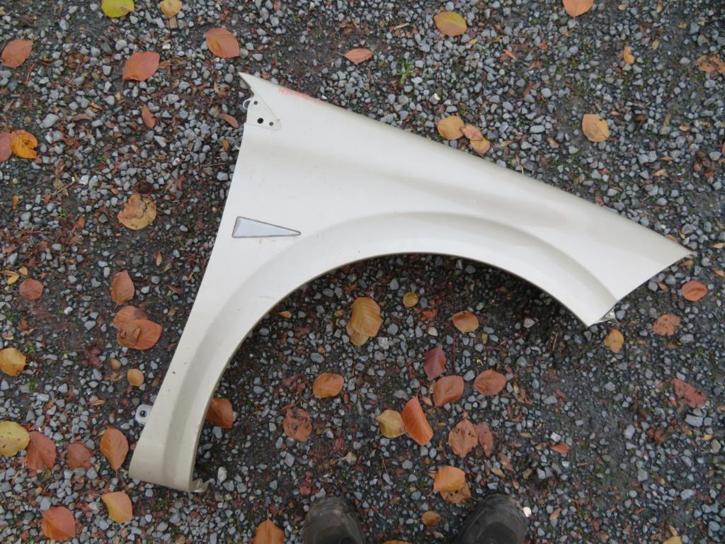 Rechter voorvleugel Renault Megane 2002-2008, Ophalen, Gebruikt, Voor, Renault