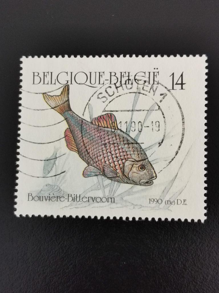 Belgique 1990 - pêche - Bouvière - timbre du carnet, Enlèvement ou Envoi, Affranchi