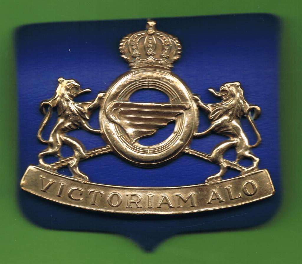 Belgian Army mutskenteken  ( LMM10 ), Verzamelen, Ophalen of Verzenden, Landmacht, Embleem of Badge