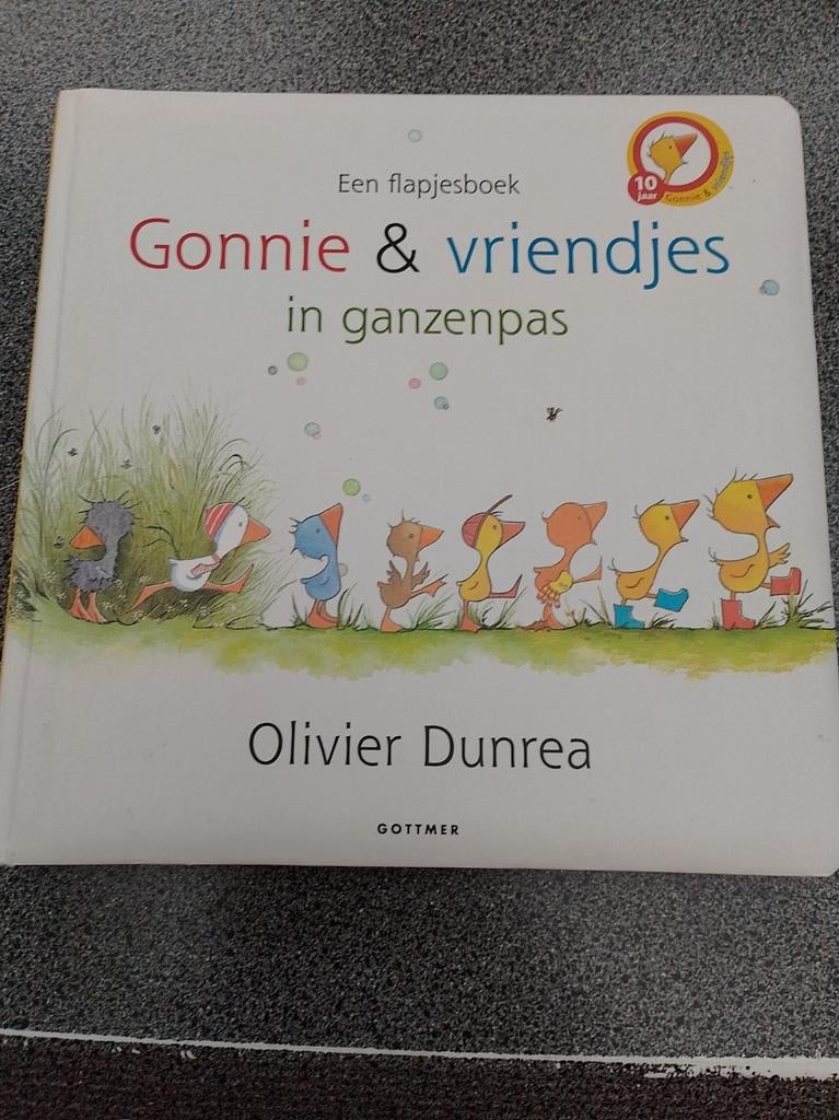 Flapjes boek Gonnie en zijn vriendjes in ganzenpas, Boeken, Ophalen, Gelezen