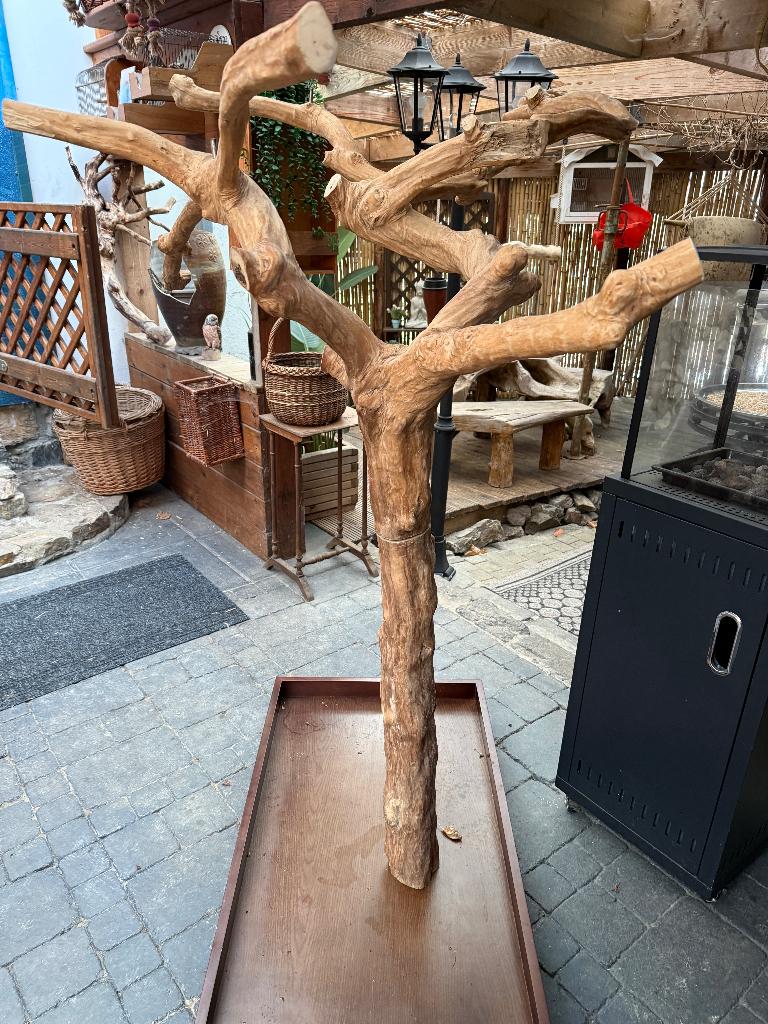 Arbre de java, Enlèvement, Neuf, Autres types