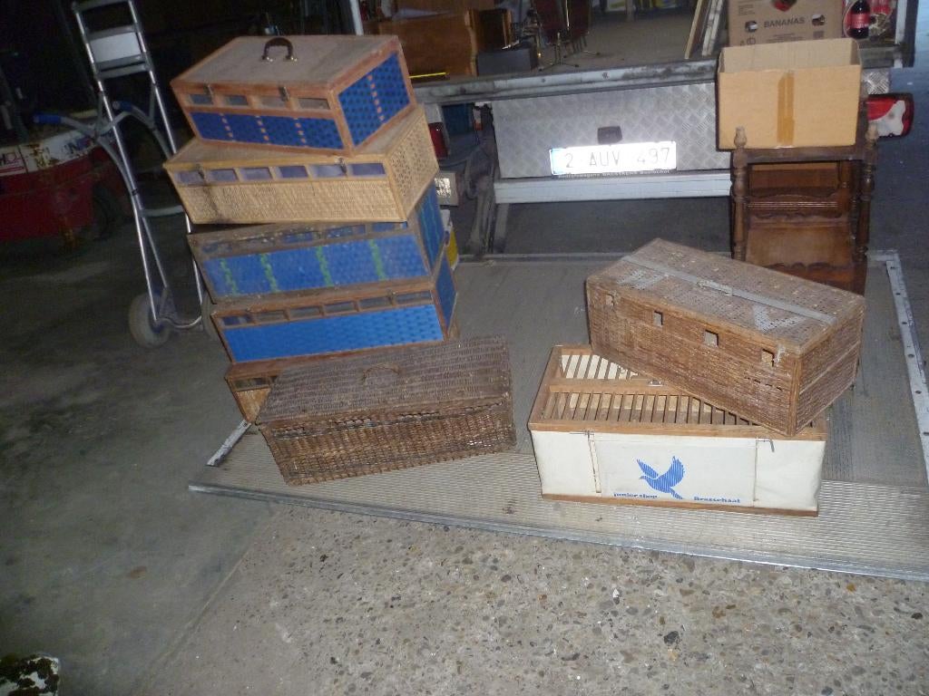 VERSCHILLENDE DUIVEN KEVEN, Antiek en Kunst, Curiosa en Brocante, Ophalen