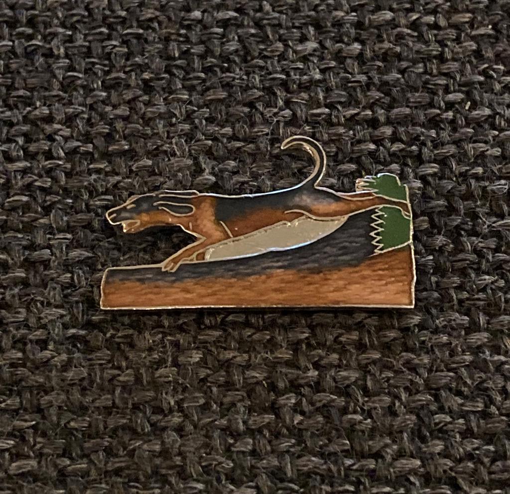 PIN - HOND - CHIEN - DOG, Envoi, Utilisé, Animal et Nature, Insigne ou Pin's
