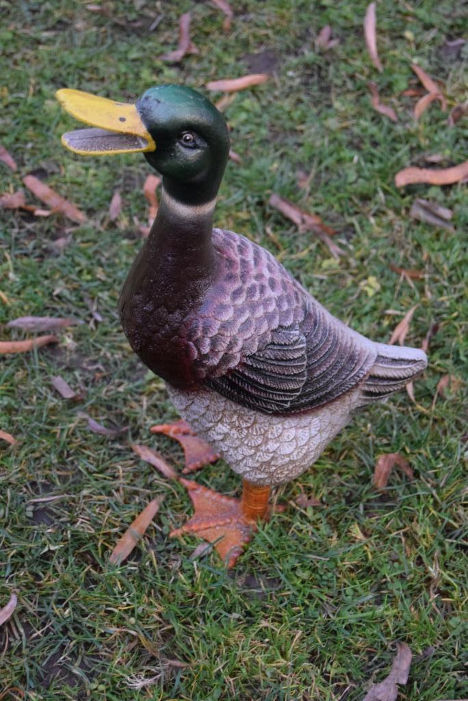 Schitterende gepatineerde gietijzeren eend (de wilde eend), Tuin en Terras, Tuinbeelden, Ophalen of Verzenden, Nieuw, Overige materialen
