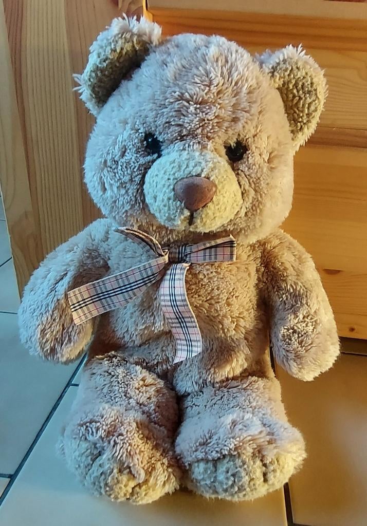Teddy beer - einde augustus, Ophalen, Zo goed als nieuw, Stoffen beer, Overige merken