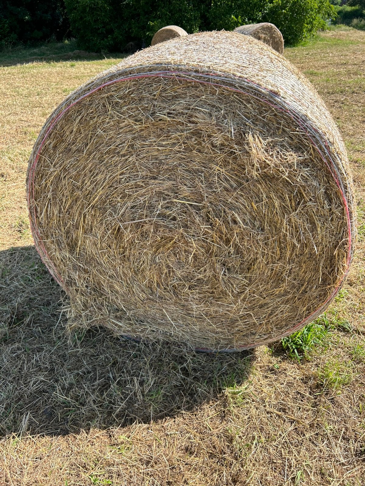 Foin, Enlèvement