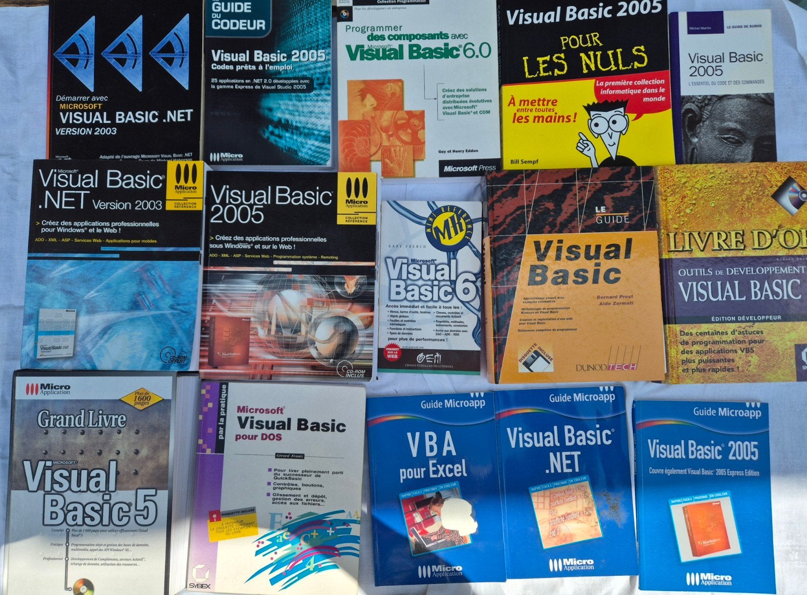 Lot de livres Visual Basic, VBA et programmation Microsoft, Enlèvement