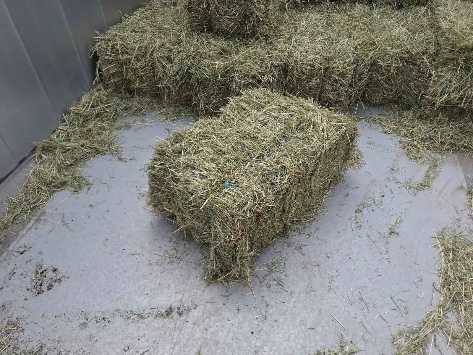 Klein pakjes hooi!, Articles professionnels, Agriculture | Aliments pour bétail, Enlèvement