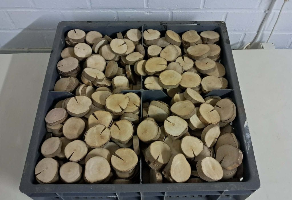 droge houten schijfjes hazelaar 1 cm dik puur natuur, Ophalen of Verzenden, Nieuw, Natuurlijk materiaal, Knutselmateriaal