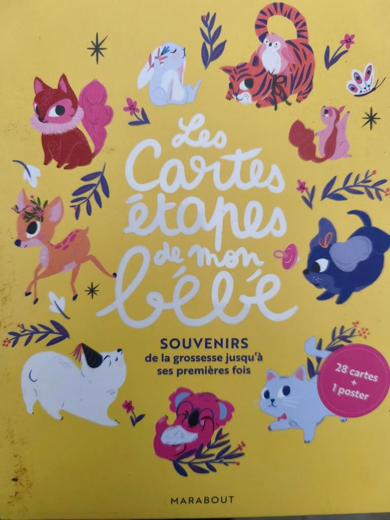Les cartes étapes bébé, Boeken, Prentenboeken en Plaatjesalbums, Ophalen