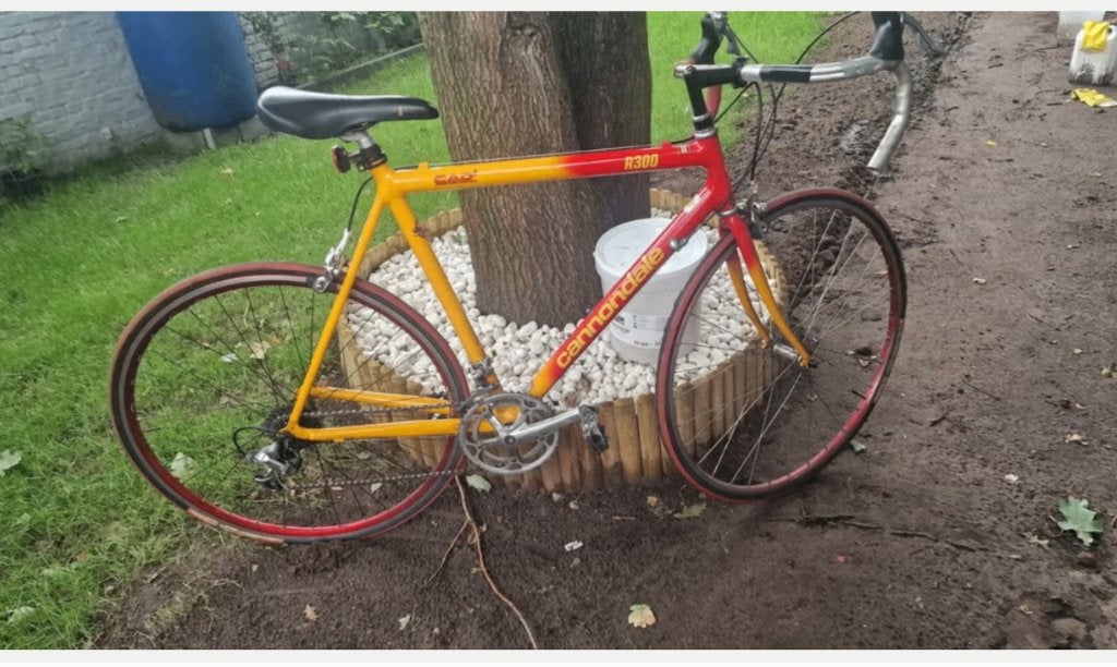 koersfiets/racefiets Cannondale R 300, Autres marques, 10 à 15 vitesses, Frein sur jante, Acier