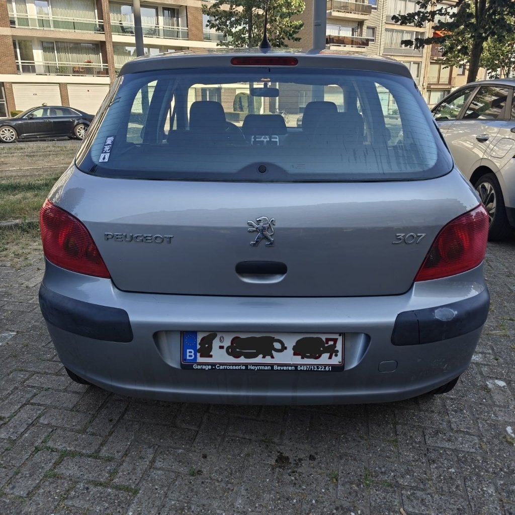 Peugeot 307     2004                 EURO4, Auto's, Peugeot, Particulier, Benzine, Euro 4, 5 deurs, Handgeschakeld, Zilver of Grijs