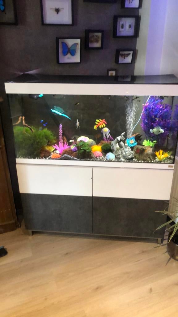 Aquarium avec armoire, Enlèvement, Comme neuf