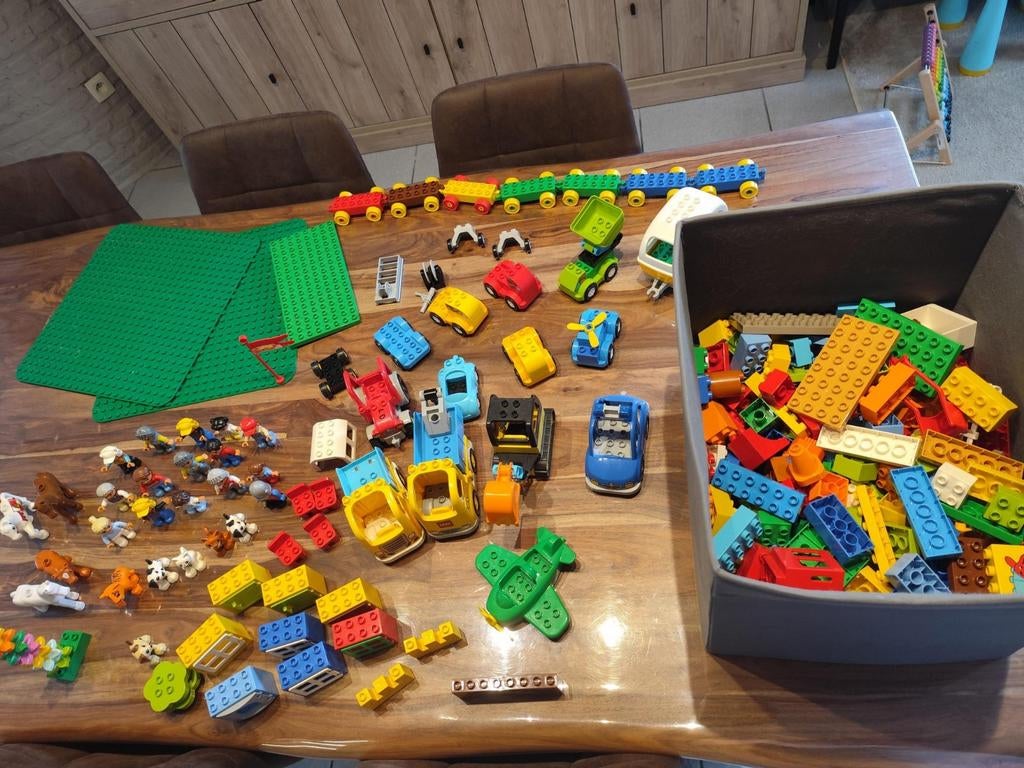 Groot lot Duplo, Ophalen, Duplo