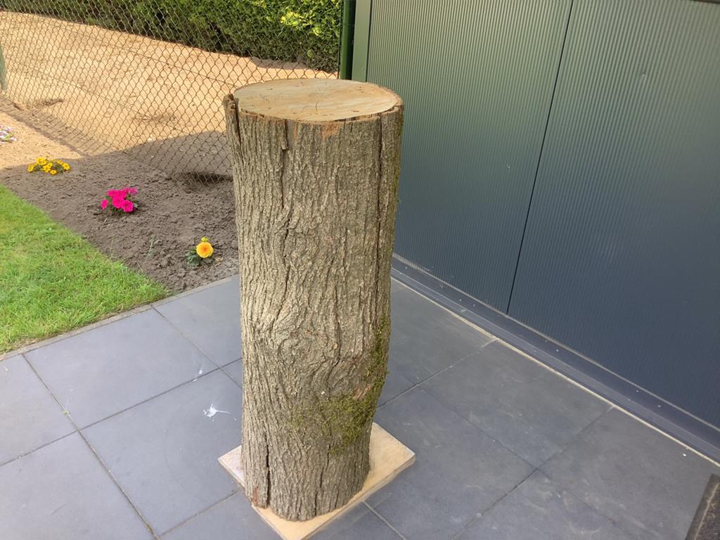 Spijkerblok / hakblok rond 35cm esdoorn, Huis en Inrichting, Woonaccessoires | Zuilen en Pilaren, Ophalen, Zo goed als nieuw