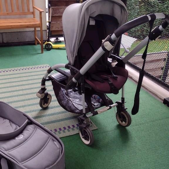 Bugaboo bee, Enlèvement, Bugaboo