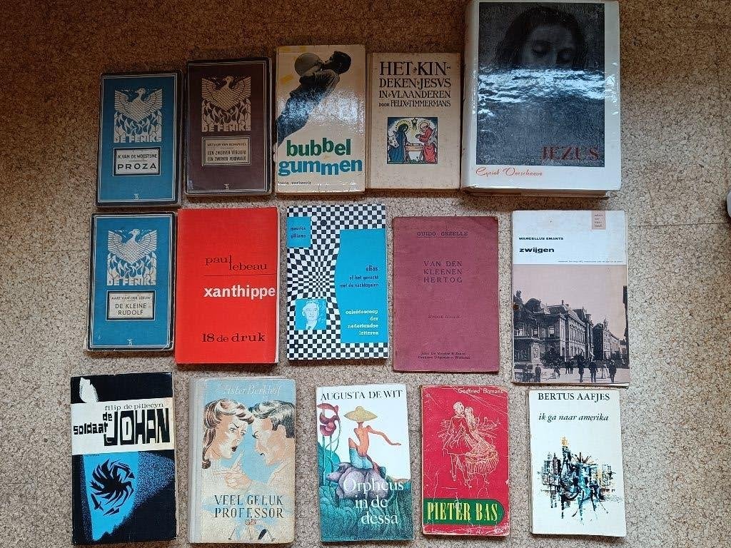 Nederlandstalige literatuur, Ophalen of Verzenden, België