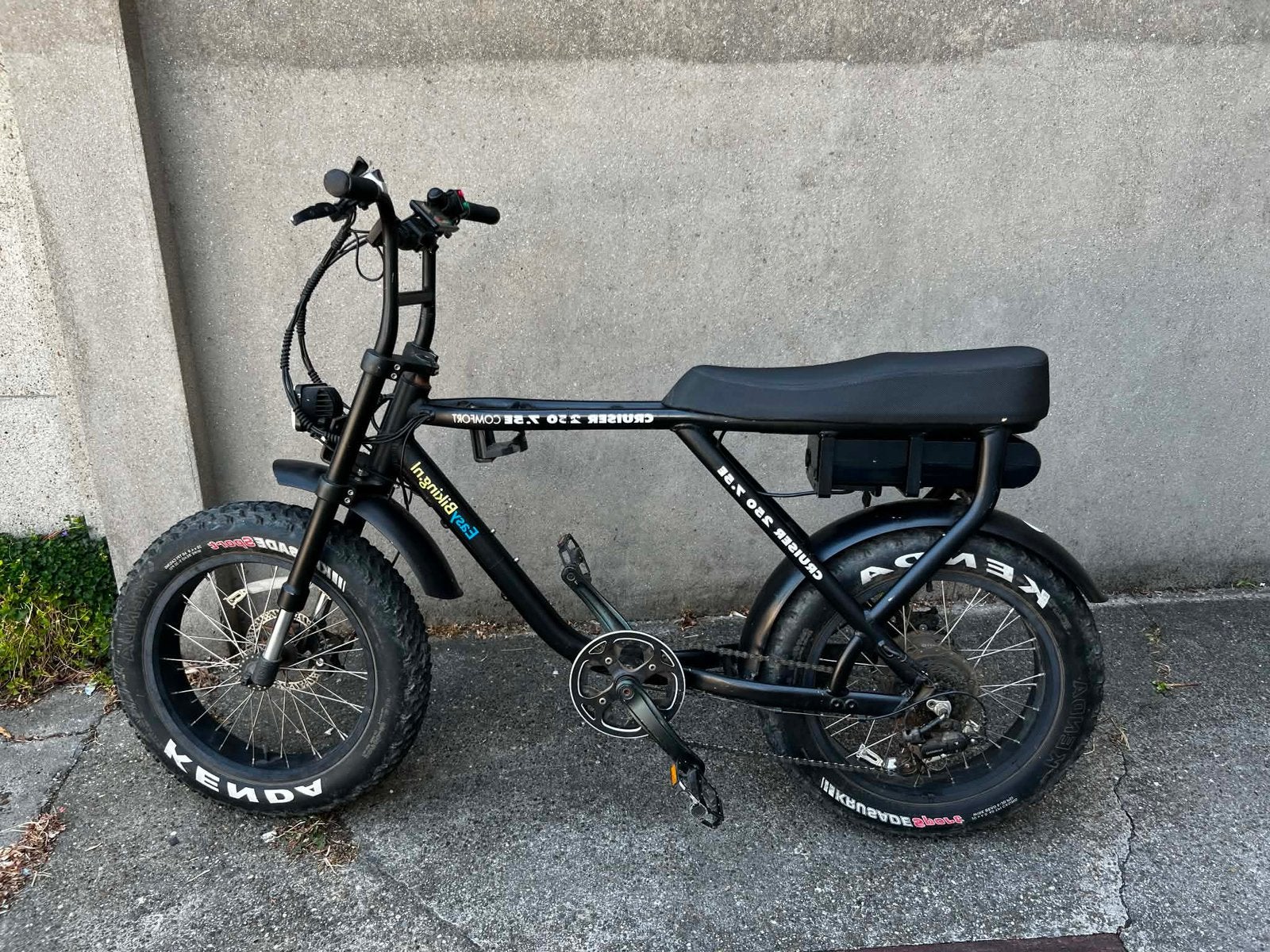 Elektrische fiets, Fietsen en Brommers, Elektrische fietsen, Zo goed als nieuw, 50 km per accu of meer, 55 tot 59 cm, Ophalen