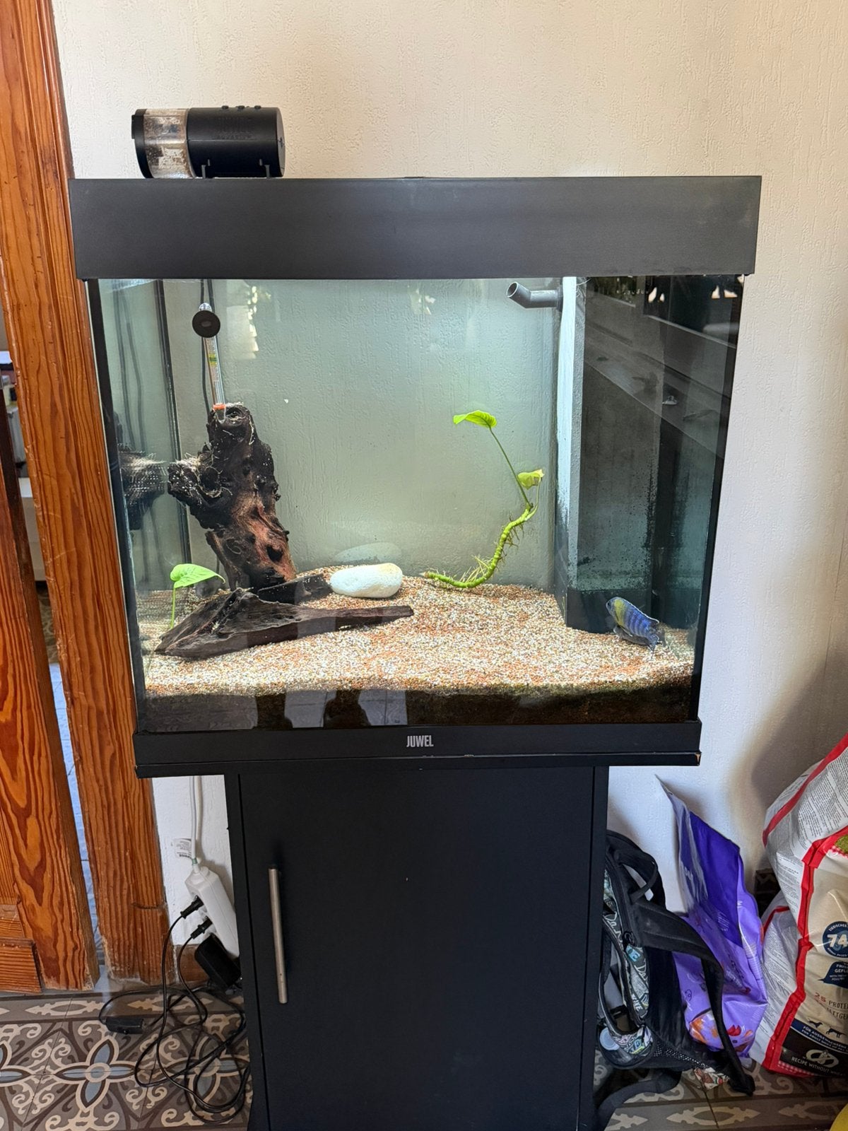 Aquarium juwel 120l complet, Animaux & Accessoires, Aquarium d'eau douce rempli, Comme neuf, Enlèvement, Poissons inclus