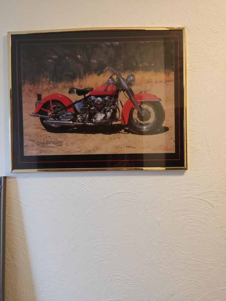 Harley Davidson 1954 panhead, Antiek en Kunst, Ophalen of Verzenden