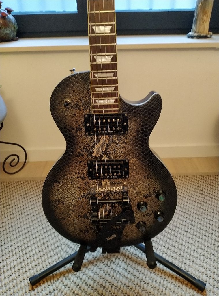 Bras Gibson et boîtier Epiphone Pro, Musique & Instruments, Enlèvement ou Envoi, Utilisé, Solid body, Epiphone